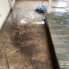 Exterior House Cleaning in Houston, TX 9